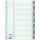 Przekładki Esselte A4 Mylar 1-31